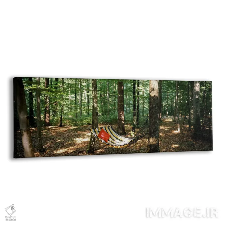 تابلو دکوراتیو Baden-Wurttemberg, Germany,نمای یک ننو در جنگل، بادن-وو… اثر پانورامیک ایمجز - نمای پرسپکتیو محصول