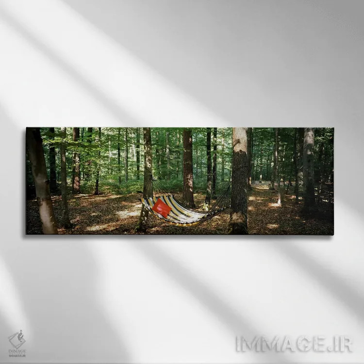 تابلو دکوراتیو Baden-Wurttemberg, Germany,نمای یک ننو در جنگل، بادن-وو… اثر پانورامیک ایمجز - نمای روبهرو روی دیوار