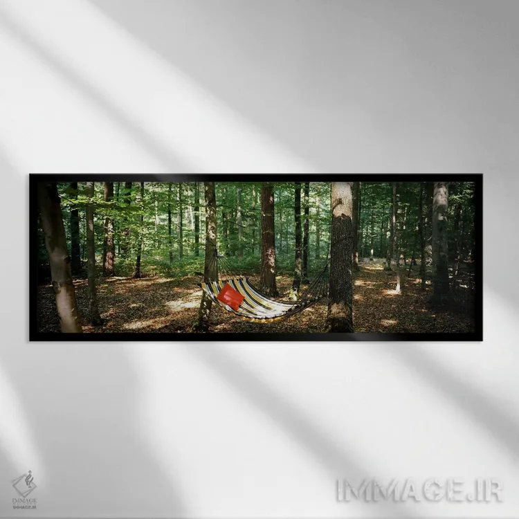 تابلو دکوراتیو Baden-Wurttemberg, Germany,نمای یک ننو در جنگل، بادن-وو… اثر پانورامیک ایمجز - نمای قابدار مشکی