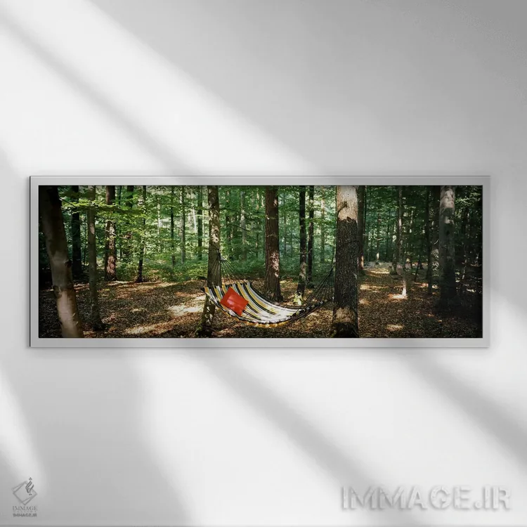 تابلو دکوراتیو Baden-Wurttemberg, Germany,نمای یک ننو در جنگل، بادن-وو… اثر پانورامیک ایمجز - نمای قابدار سفید