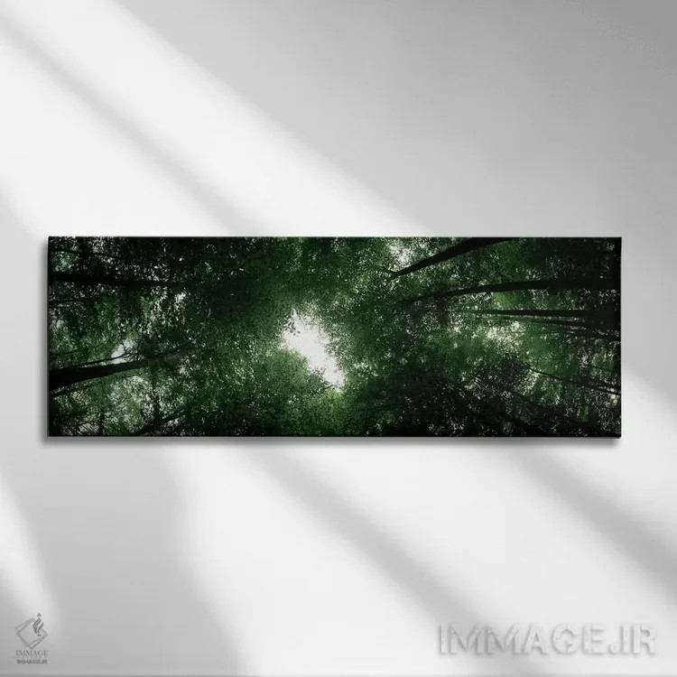 تابلو دکوراتیو Baden-Wurttemberg, Germany,نمای پایین از درختان راش، با… اثر پانورامیک ایمجز - نمای روبهرو روی دیوار