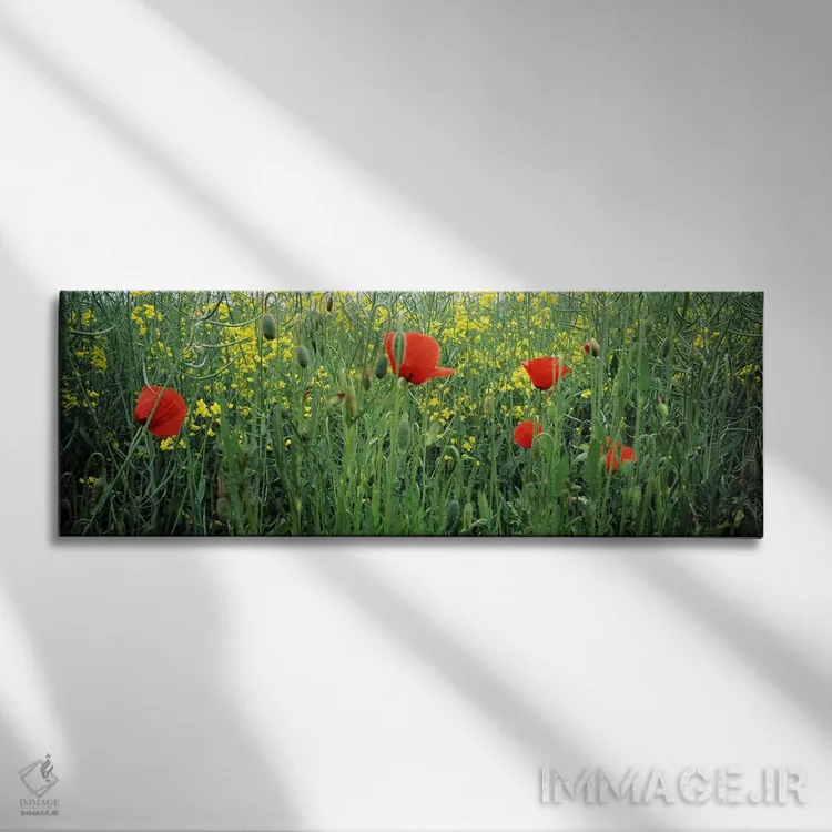 تابلو دکوراتیو Baden-Wurttemberg, Germany,شکوفه های شقایق در مزرعه کلز… اثر پانورامیک ایمجز - نمای روبهرو روی دیوار