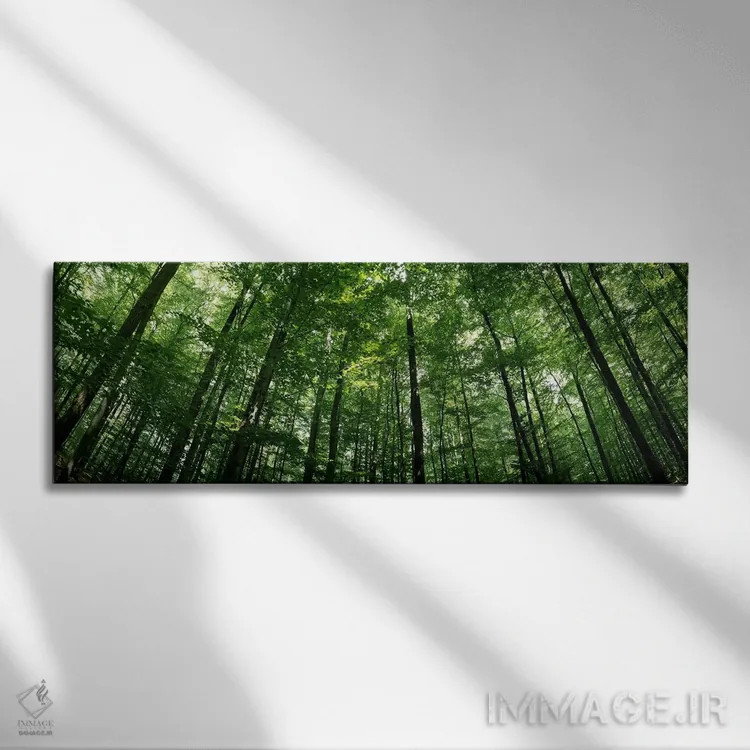 تابلو دکوراتیو Baden-Wurttemberg, Germany #2,نمای پایین از درختان راش… اثر پانورامیک ایمجز - نمای روبهرو روی دیوار