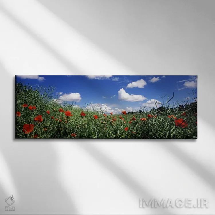 تابلو دکوراتیو Baden-Wurttemberg, Germany,شقایق های سرخ در حال شکوفه د… اثر پانورامیک ایمجز - نمای روبهرو روی دیوار