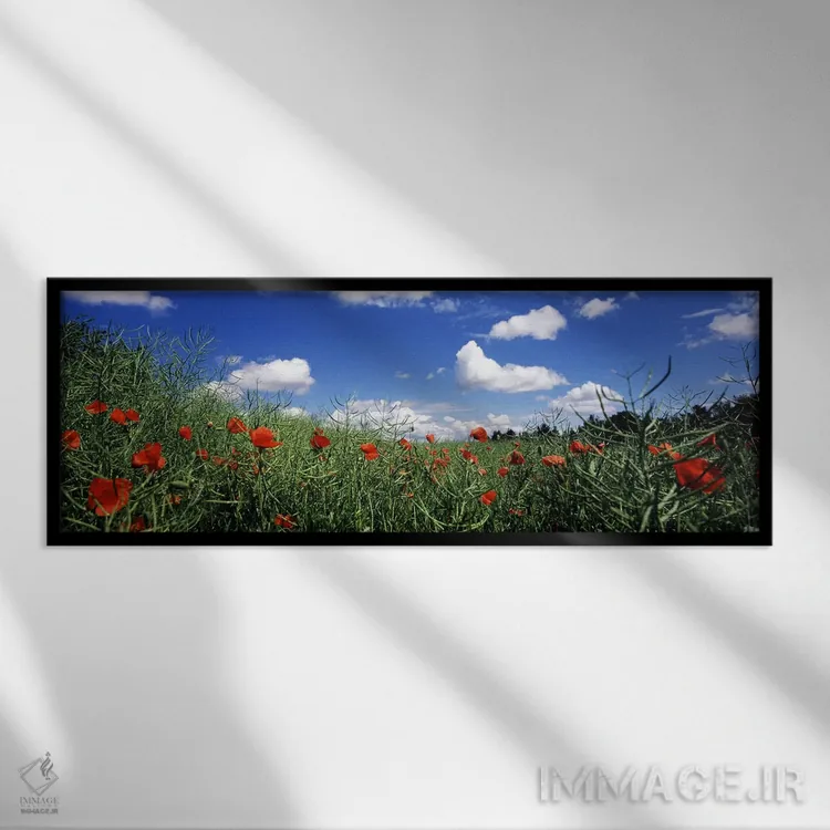 تابلو دکوراتیو Baden-Wurttemberg, Germany,شقایق های سرخ در حال شکوفه د… اثر پانورامیک ایمجز - نمای قابدار مشکی