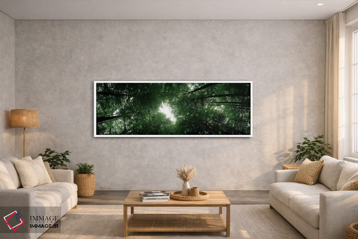 تابلو دکوراتیو Baden-Wurttemberg, Germany,نمای پایین از درختان راش، با… اثر پانورامیک ایمجز - D2W