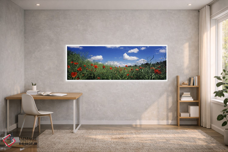 تابلو دکوراتیو Baden-Wurttemberg, Germany,شقایق های سرخ در حال شکوفه د… اثر پانورامیک ایمجز - D1W