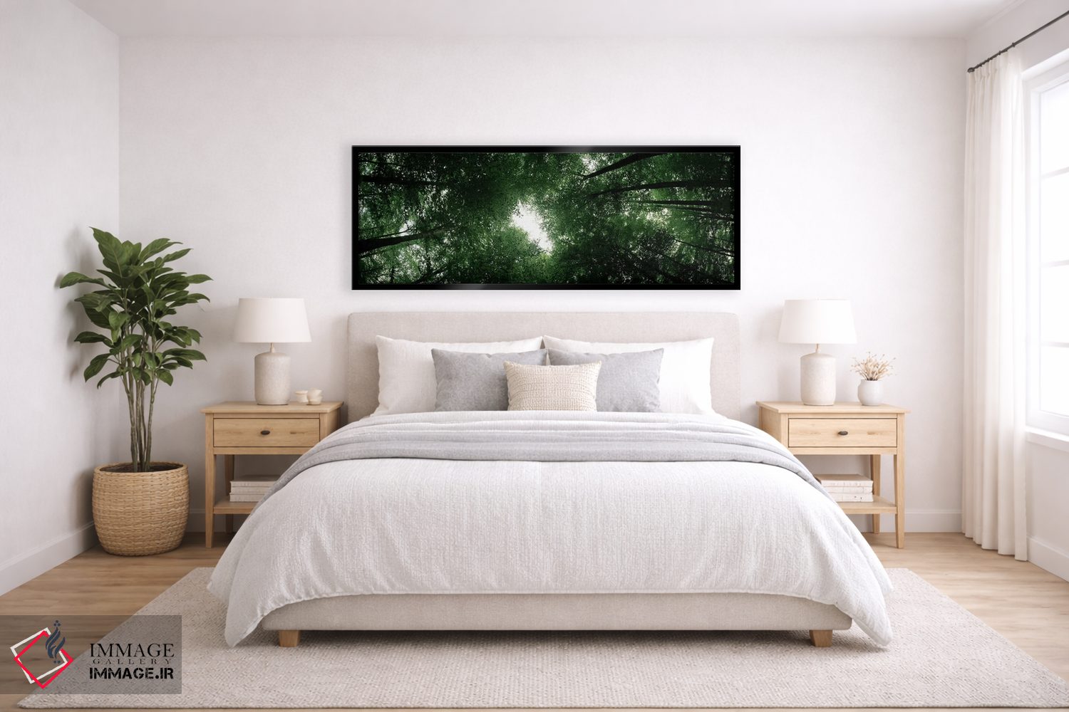 تابلو دکوراتیو Baden-Wurttemberg, Germany,نمای پایین از درختان راش، با… اثر پانورامیک ایمجز - D6B