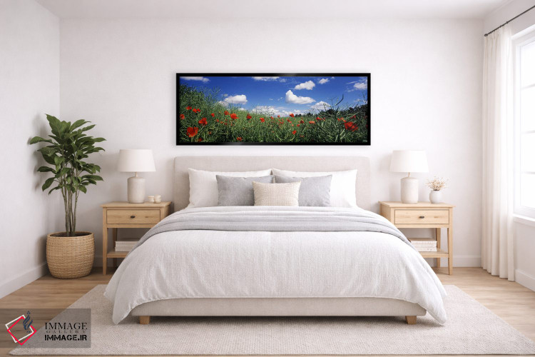 تابلو دکوراتیو Baden-Wurttemberg, Germany,شقایق های سرخ در حال شکوفه د… اثر پانورامیک ایمجز - D6B