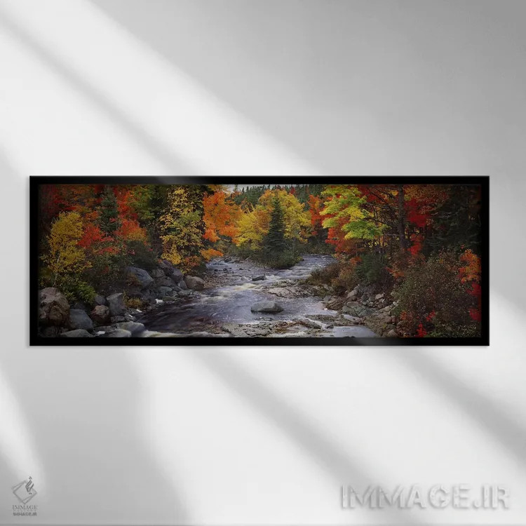 تابلو دکوراتیو Nova Scotia, Canada,جویباری با درختان در جنگلی در پاییز… اثر پانورامیک ایمجز - نمای قابدار مشکی