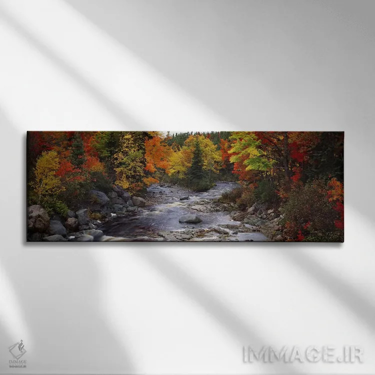 تابلو دکوراتیو Nova Scotia, Canada,جویباری با درختان در جنگلی در پاییز… اثر پانورامیک ایمجز - نمای روبهرو روی دیوار
