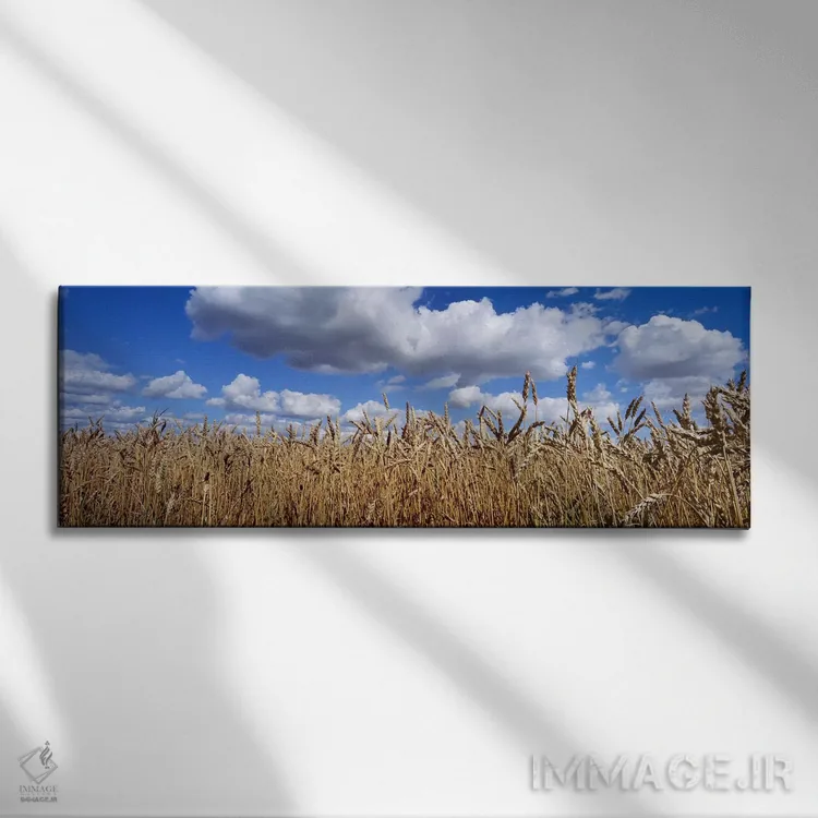 تابلو دکوراتیو Alberta, Canada,ابرهای پفی بالای یک مزرعه گندم، آلبرتا… اثر پانورامیک ایمجز - نمای روبهرو روی دیوار