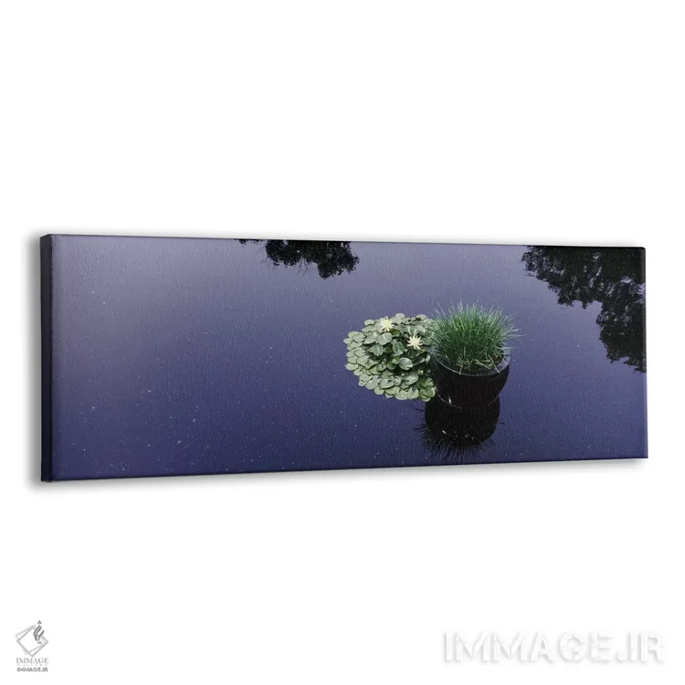 تابلو دکوراتیو Madison, Wisconsin, USA,نیلوفرهای آبی به همراه یک گیاه… اثر پانورامیک ایمجز - نمای پرسپکتیو محصول