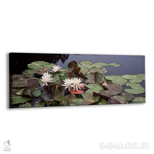 تابلو دکوراتیو Sunken Garden, Olbrich Botanical Gardens, Madison, Wisc… اثر پانورامیک ایمجز - نمای پرسپکتیو محصول