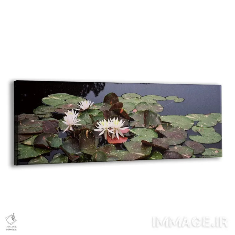 تابلو دکوراتیو Sunken Garden, Olbrich Botanical Gardens, Madison, Wisc… اثر پانورامیک ایمجز - نمای پرسپکتیو محصول