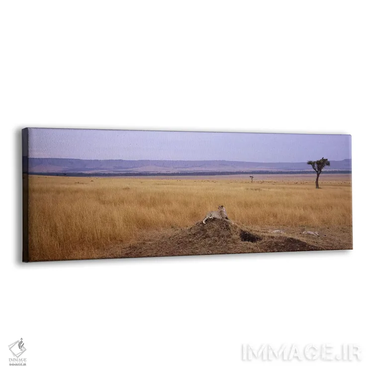 تابلو دکوراتیو Kenya,یوزپلنگ نشسته بر تپه و نگاه به عقب، ذخیره گاه طبی… اثر پانورامیک ایمجز - نمای پرسپکتیو محصول