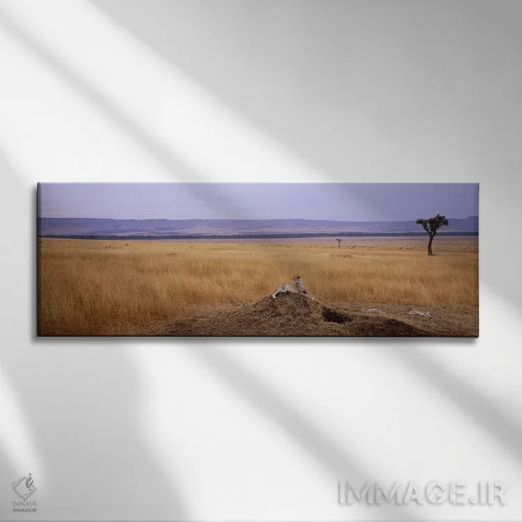 تابلو دکوراتیو Kenya,یوزپلنگ نشسته بر تپه و نگاه به عقب، ذخیره گاه طبی… اثر پانورامیک ایمجز - نمای روبهرو روی دیوار