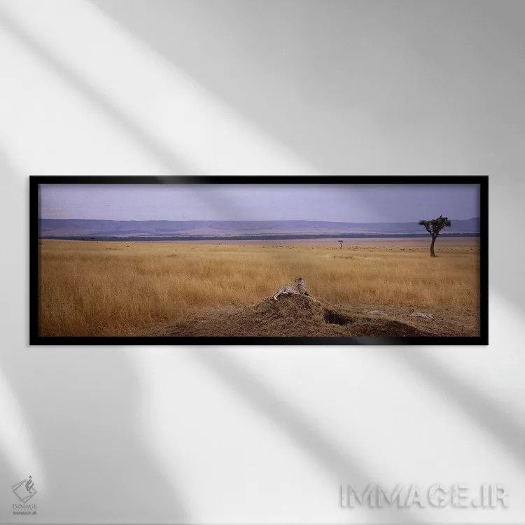 تابلو دکوراتیو Kenya,یوزپلنگ نشسته بر تپه و نگاه به عقب، ذخیره گاه طبی… اثر پانورامیک ایمجز - نمای قابدار مشکی