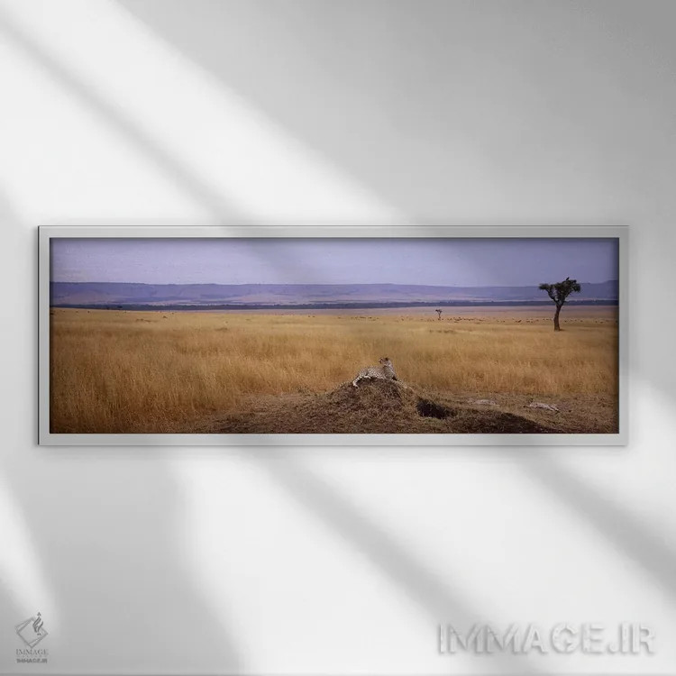 تابلو دکوراتیو Kenya,یوزپلنگ نشسته بر تپه و نگاه به عقب، ذخیره گاه طبی… اثر پانورامیک ایمجز - نمای قابدار سفید