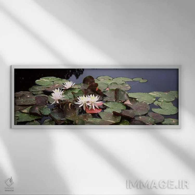 تابلو دکوراتیو Sunken Garden, Olbrich Botanical Gardens, Madison, Wisc… اثر پانورامیک ایمجز - نمای قابدار سفید