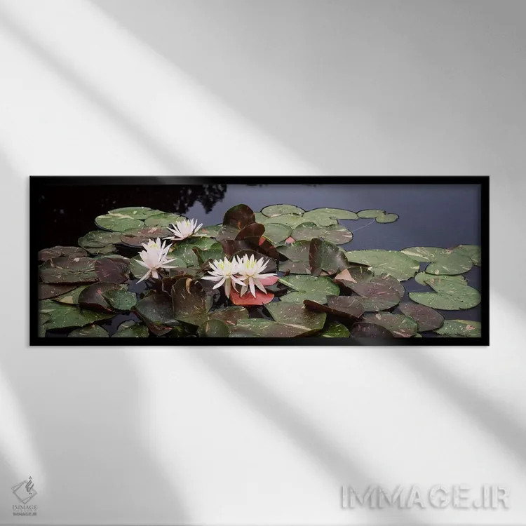 تابلو دکوراتیو Sunken Garden, Olbrich Botanical Gardens, Madison, Wisc… اثر پانورامیک ایمجز - نمای قابدار مشکی