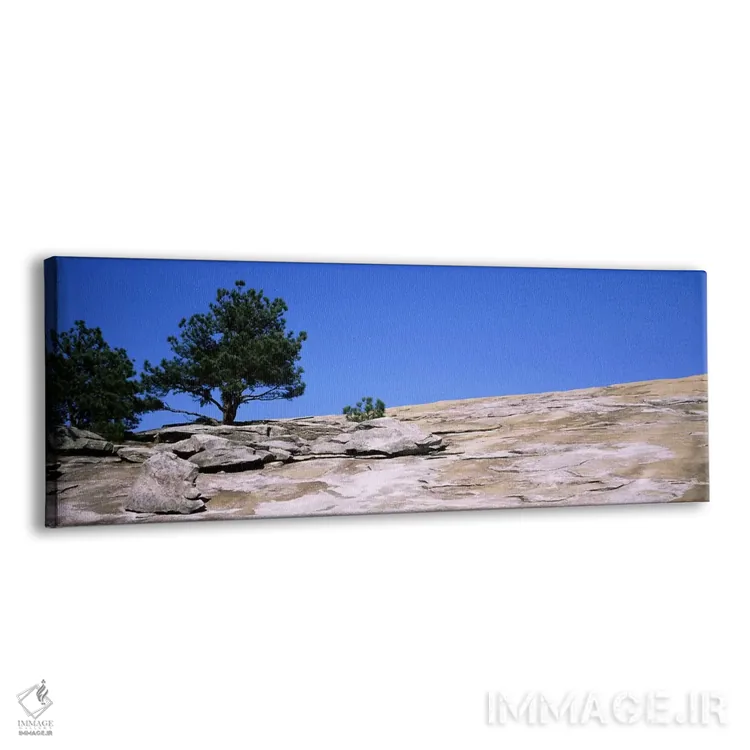 تابلو دکوراتیو Stone Mountain, Atlanta, Fulton County, Georgia, USA #2… اثر پانورامیک ایمجز - نمای پرسپکتیو محصول