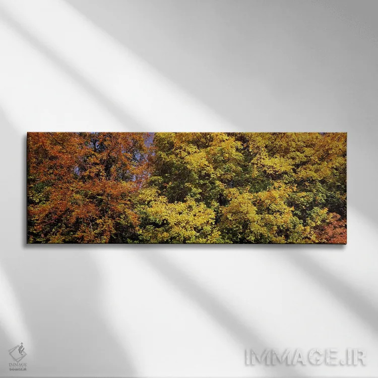 تابلو دکوراتیو Ludwigsburg Park, Ludwigsburg, Baden-Wurttemberg, Germa… اثر پانورامیک ایمجز - نمای روبهرو روی دیوار