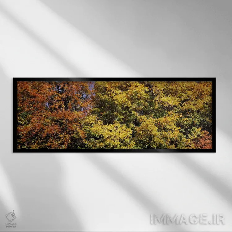 تابلو دکوراتیو Ludwigsburg Park, Ludwigsburg, Baden-Wurttemberg, Germa… اثر پانورامیک ایمجز - نمای قابدار مشکی