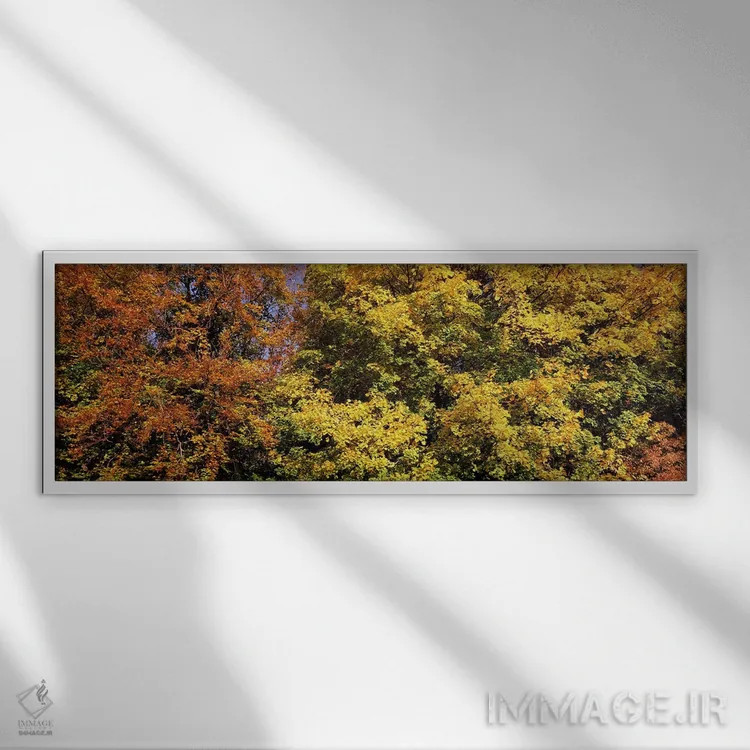 تابلو دکوراتیو Ludwigsburg Park, Ludwigsburg, Baden-Wurttemberg, Germa… اثر پانورامیک ایمجز - نمای قابدار سفید
