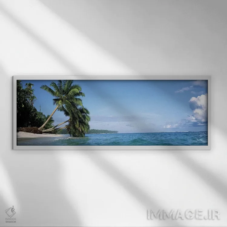 تابلو دکوراتیو نخل های خم شده در چشم انداز گرمسیری اثر پانورامیک ایمجز - نمای قابدار سفید