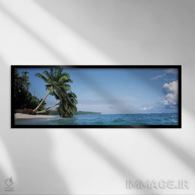تابلو دکوراتیو نخل های خم شده در چشم انداز گرمسیری اثر پانورامیک ایمجز - نمای قابدار مشکی