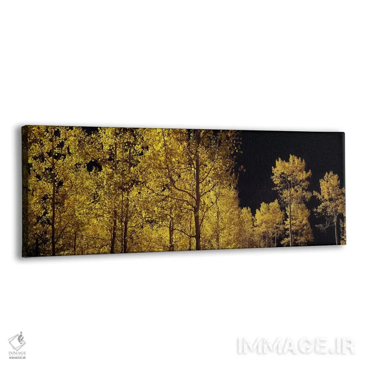 تابلو دکوراتیو Colorado, USA #3,درختان آسپن در پاییز، کلرادو، ایالات م… اثر پانورامیک ایمجز - نمای پرسپکتیو محصول
