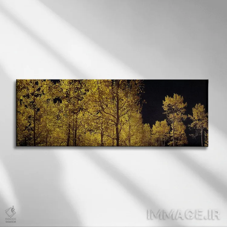 تابلو دکوراتیو Colorado, USA #3,درختان آسپن در پاییز، کلرادو، ایالات م… اثر پانورامیک ایمجز - نمای روبهرو روی دیوار