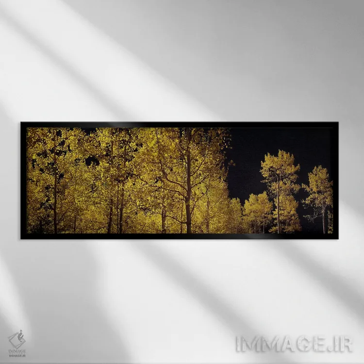 تابلو دکوراتیو Colorado, USA #3,درختان آسپن در پاییز، کلرادو، ایالات م… اثر پانورامیک ایمجز - نمای قابدار مشکی