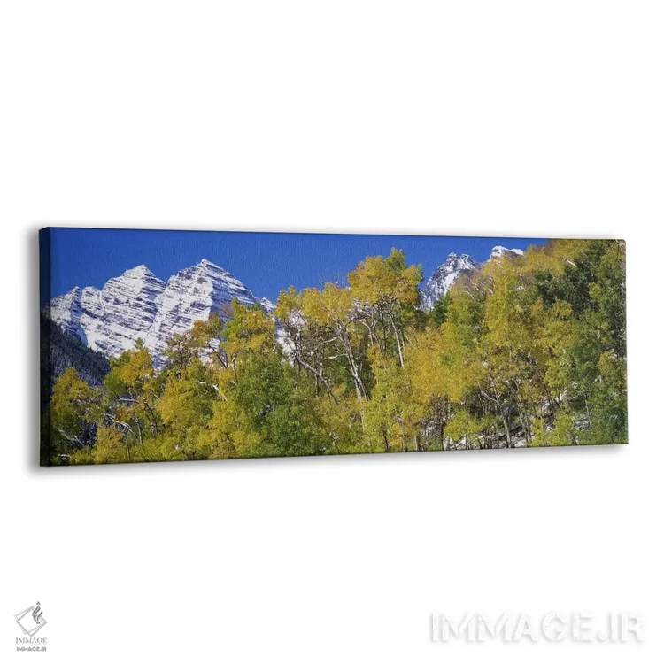 تابلو دکوراتیو Maroon Bells, Aspen, Pitkin County, Colorado, USA,جنگل… اثر پانورامیک ایمجز - نمای پرسپکتیو محصول