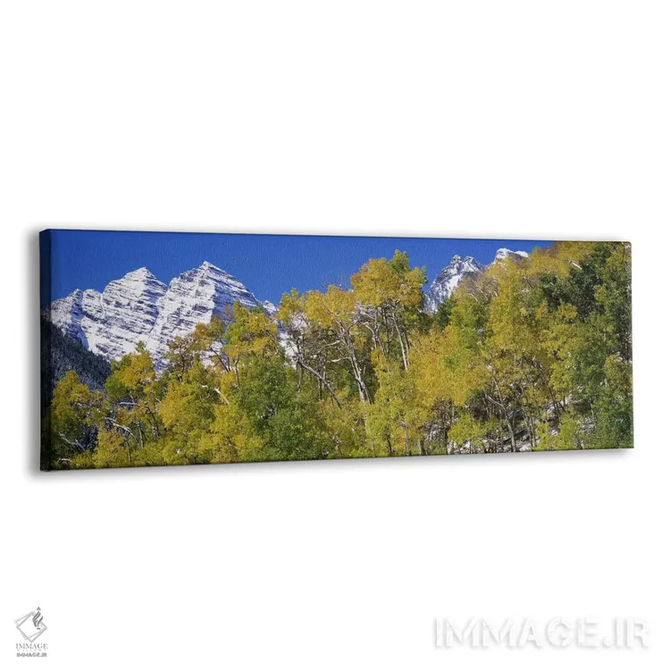 تابلو دکوراتیو Maroon Bells, Aspen, Pitkin County, Colorado, USA,جنگل… اثر پانورامیک ایمجز - نمای پرسپکتیو محصول