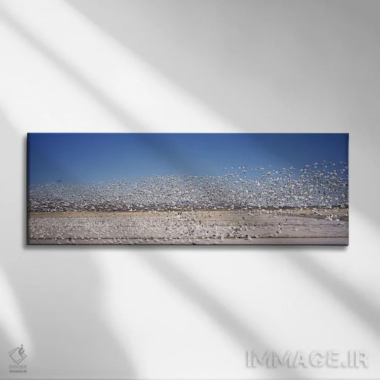 تابلو دکوراتیو Bosque del Apache National Wildlife Reserve, Socorro Co… اثر پانورامیک ایمجز - نمای روبهرو روی دیوار