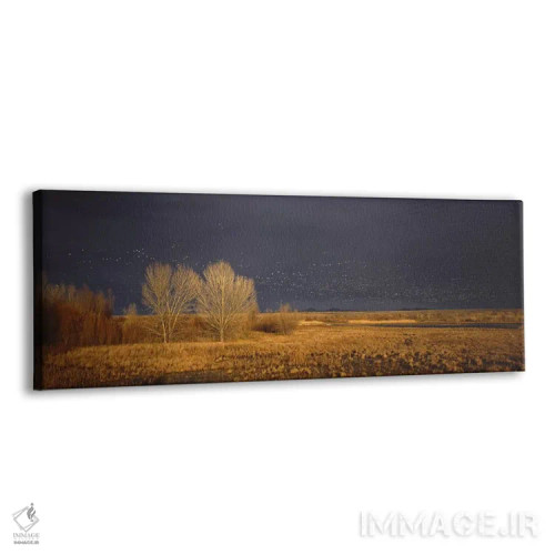 تابلو دکوراتیو Bosque del Apache National Wildlife Reserve, Socorro Co… اثر پانورامیک ایمجز - نمای پرسپکتیو محصول