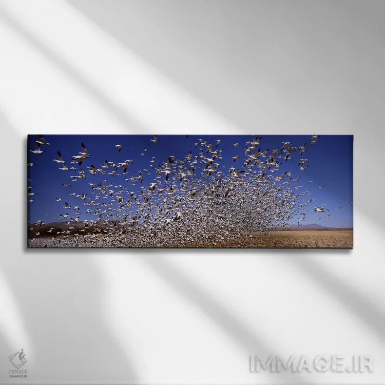 تابلو دکوراتیو Bosque del Apache National Wildlife Reserve, Socorro Co… اثر پانورامیک ایمجز - نمای روبهرو روی دیوار