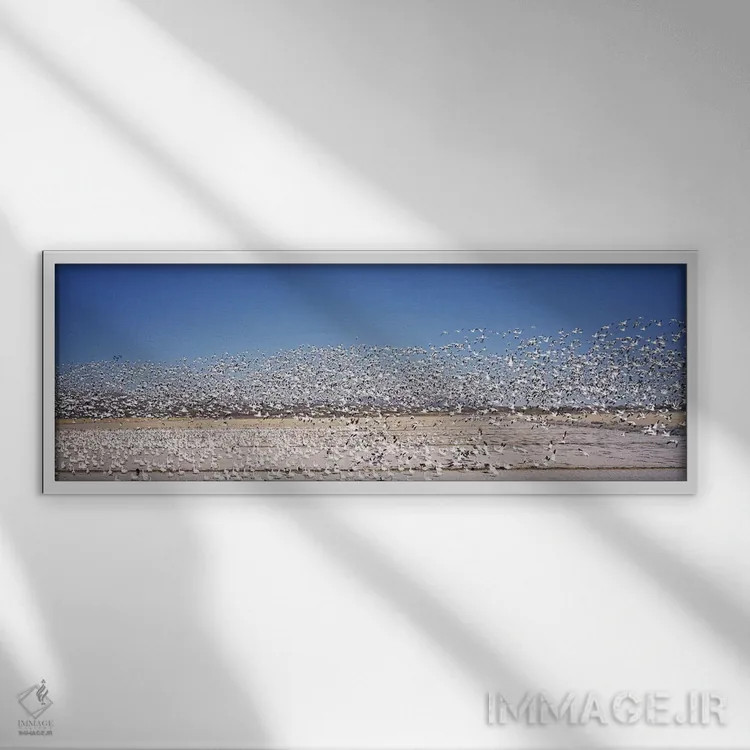 تابلو دکوراتیو Bosque del Apache National Wildlife Reserve, Socorro Co… اثر پانورامیک ایمجز - نمای قابدار سفید