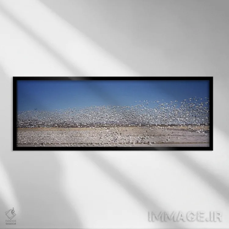 تابلو دکوراتیو Bosque del Apache National Wildlife Reserve, Socorro Co… اثر پانورامیک ایمجز - نمای قابدار مشکی