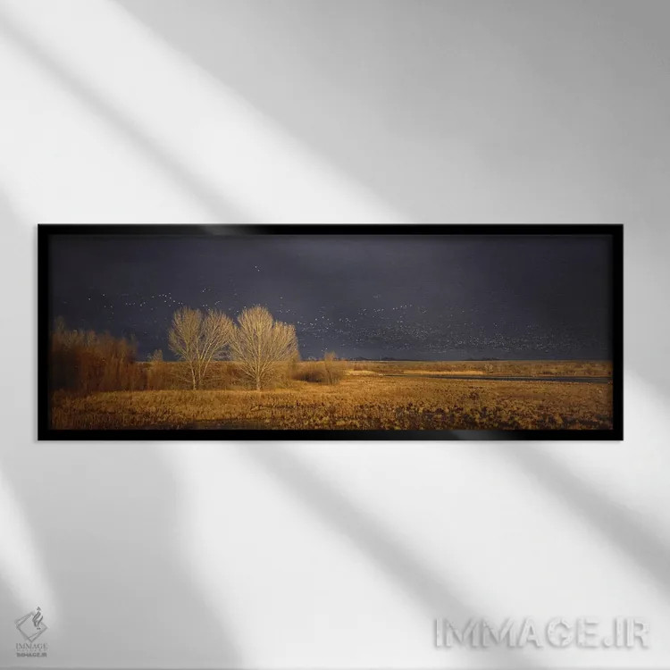 تابلو دکوراتیو Bosque del Apache National Wildlife Reserve, Socorro Co… اثر پانورامیک ایمجز - نمای قابدار مشکی