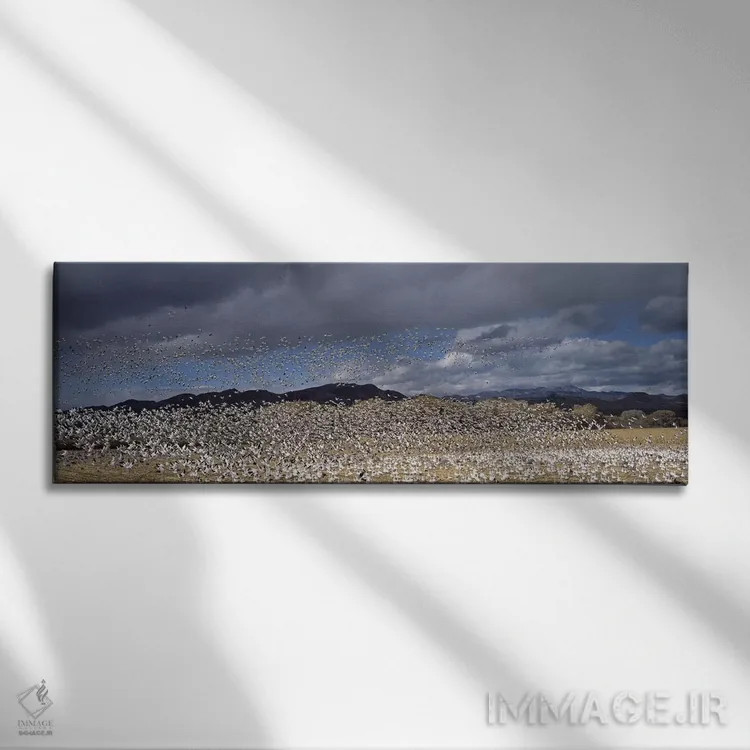 تابلو دکوراتیو Bosque del Apache National Wildlife Reserve, Socorro Co… اثر پانورامیک ایمجز - نمای روبهرو روی دیوار