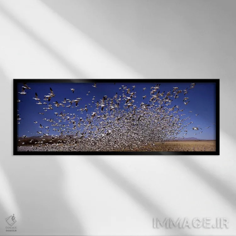 تابلو دکوراتیو Bosque del Apache National Wildlife Reserve, Socorro Co… اثر پانورامیک ایمجز - نمای قابدار مشکی