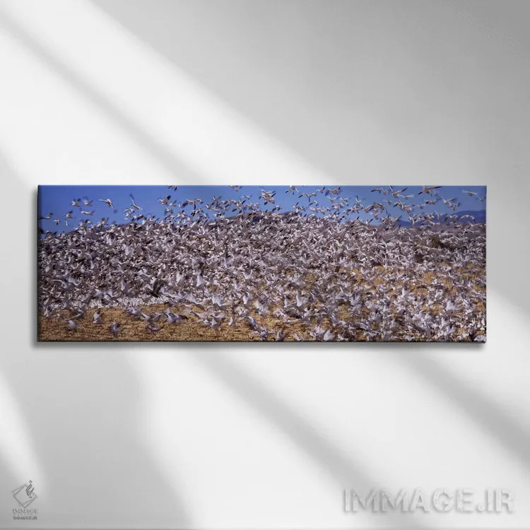 تابلو دکوراتیو Bosque del Apache National Wildlife Reserve, Socorro Co… اثر پانورامیک ایمجز - نمای روبهرو روی دیوار