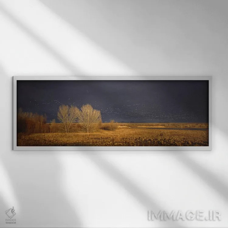 تابلو دکوراتیو Bosque del Apache National Wildlife Reserve, Socorro Co… اثر پانورامیک ایمجز - نمای قابدار سفید