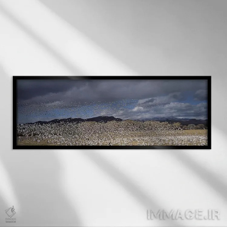 تابلو دکوراتیو Bosque del Apache National Wildlife Reserve, Socorro Co… اثر پانورامیک ایمجز - نمای قابدار مشکی