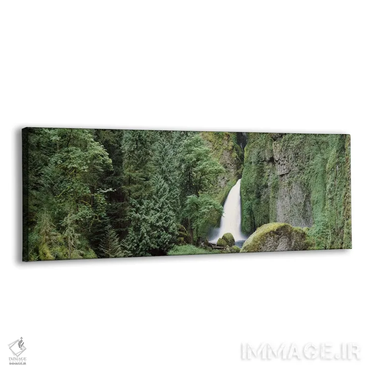 تابلو دکوراتیو Columbia River Gorge, Oregon, USA,آبشار در جنگل، دره رو… اثر پانورامیک ایمجز - نمای پرسپکتیو محصول