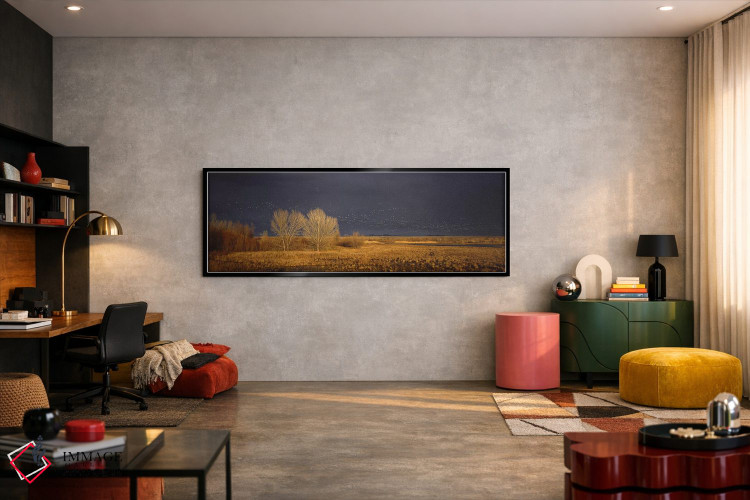 تابلو دکوراتیو Bosque del Apache National Wildlife Reserve, Socorro Co… اثر پانورامیک ایمجز - D5B