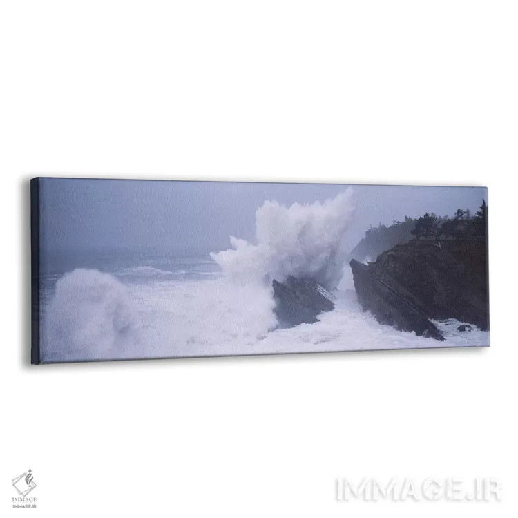 تابلو دکوراتیو Shore Acres State Park, Coos County, Oregon, USA,امواج… اثر پانورامیک ایمجز - نمای پرسپکتیو محصول